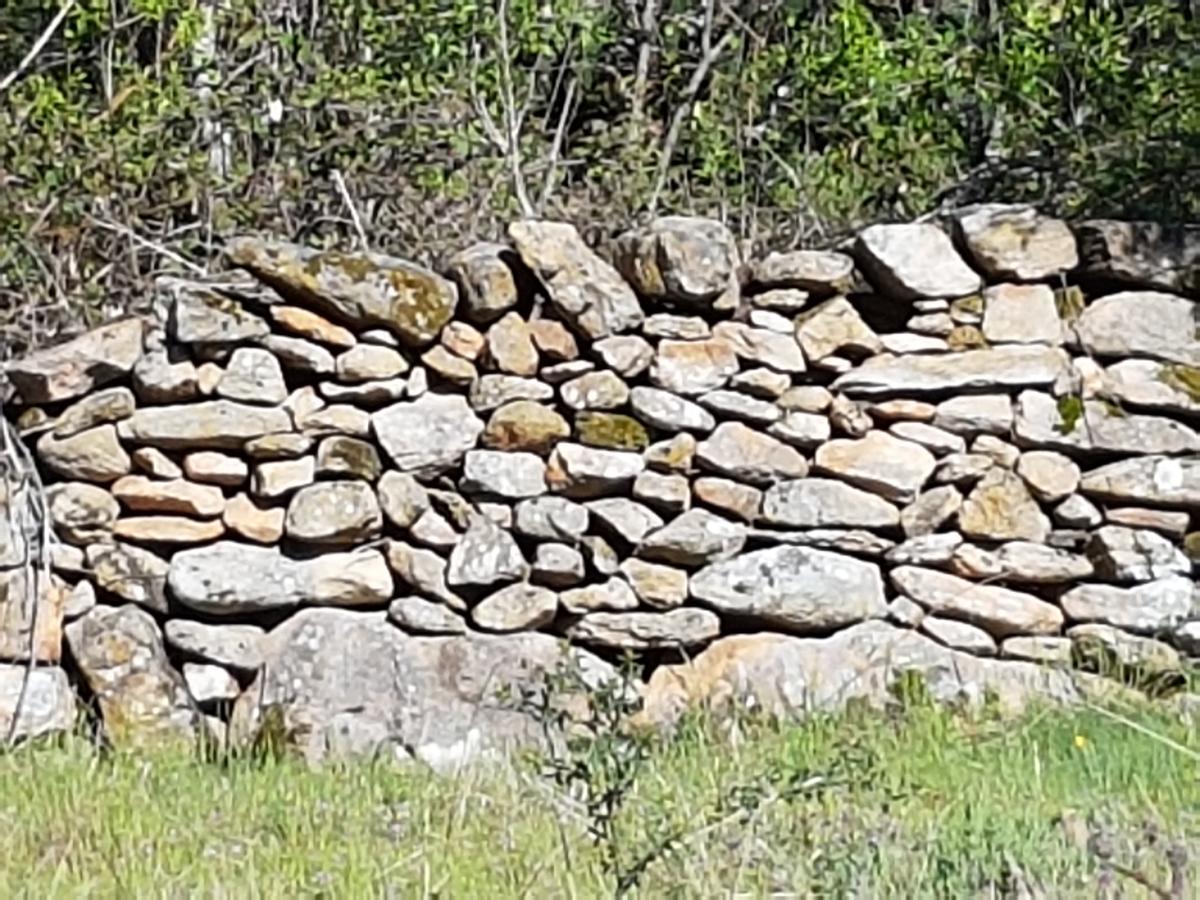 La Posada De Horcajuelo Horcajuelo de la Sierra Екстериор снимка