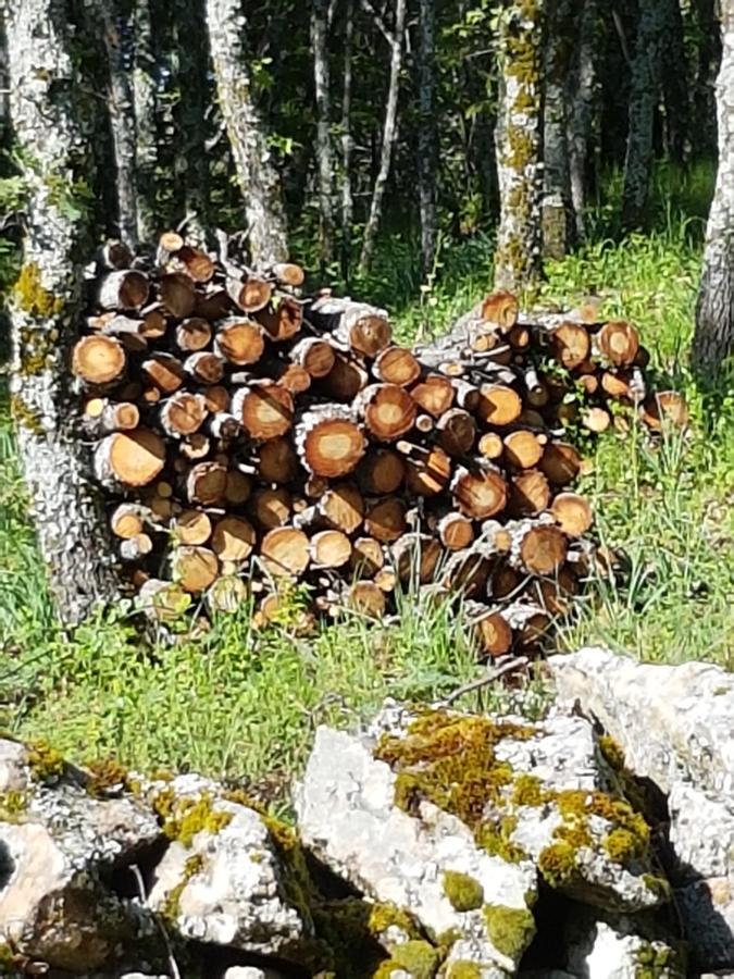 La Posada De Horcajuelo Horcajuelo de la Sierra Екстериор снимка