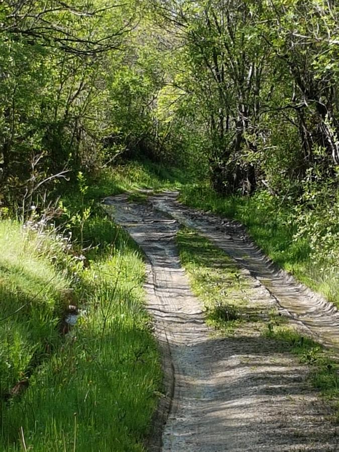 La Posada De Horcajuelo Horcajuelo de la Sierra Екстериор снимка