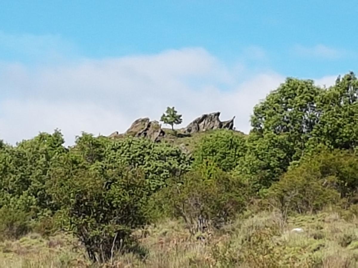 La Posada De Horcajuelo Horcajuelo de la Sierra Екстериор снимка