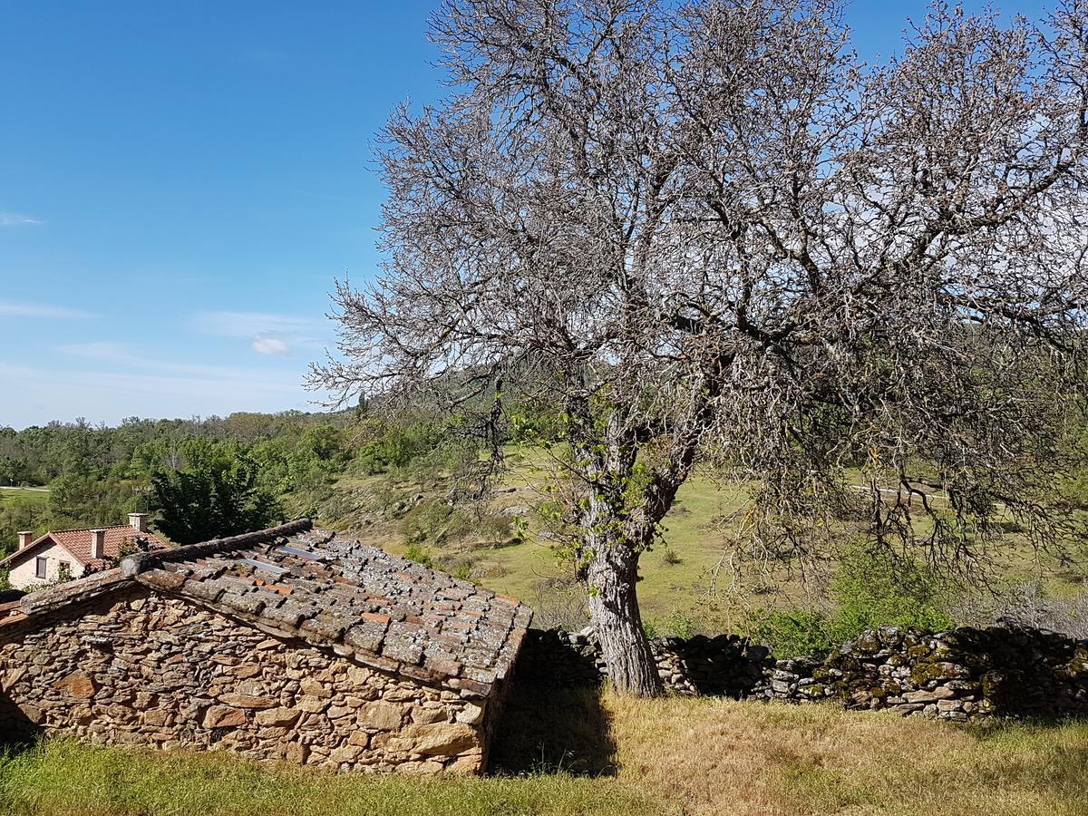 La Posada De Horcajuelo Horcajuelo de la Sierra Екстериор снимка