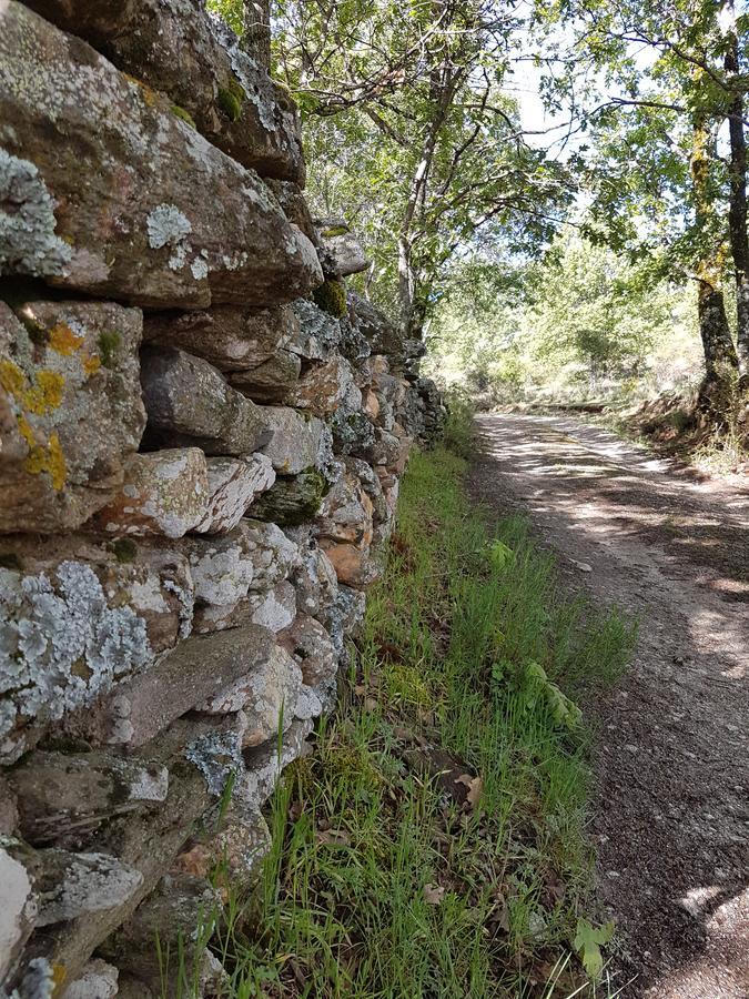 La Posada De Horcajuelo Horcajuelo de la Sierra Екстериор снимка