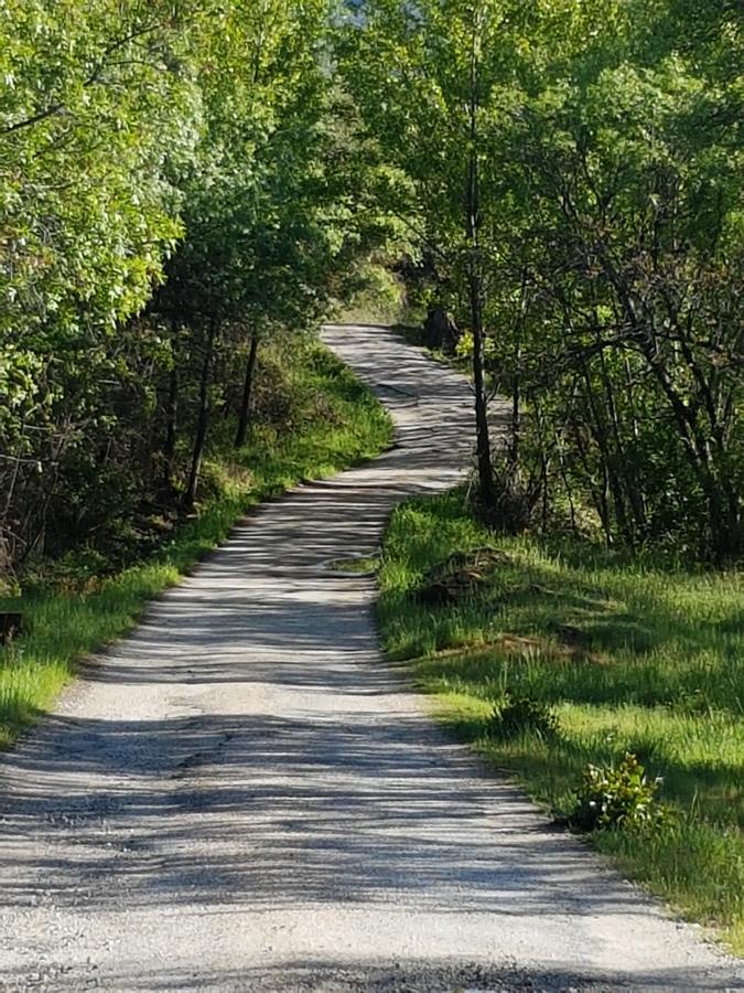 La Posada De Horcajuelo Horcajuelo de la Sierra Екстериор снимка