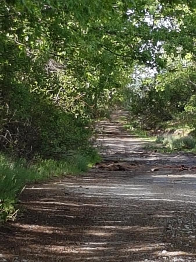 La Posada De Horcajuelo Horcajuelo de la Sierra Екстериор снимка