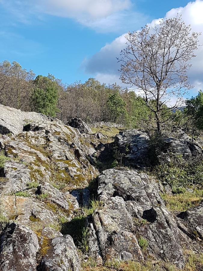 La Posada De Horcajuelo Horcajuelo de la Sierra Екстериор снимка